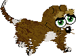 Hazel Dormouse